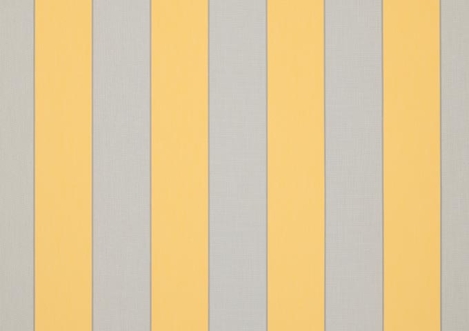 Orchestra Sienne Yellow